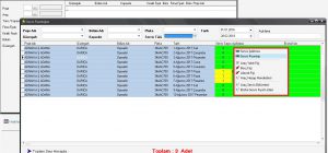 Servis Turizm Puantaj Otomasyunu